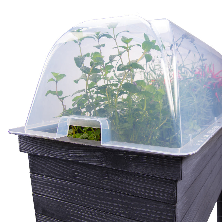 Garantia Urban Balcony Raised Bed with Cloche Cover