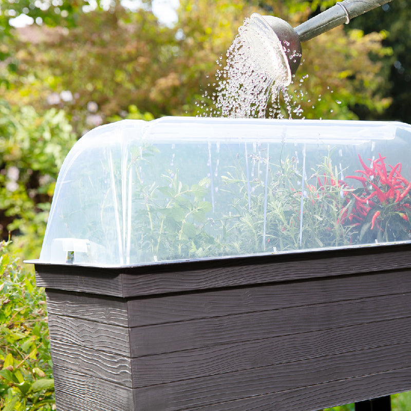 Garantia Urban Balcony Raised Bed with Cloche Cover